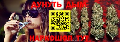 дурь Пугачёв