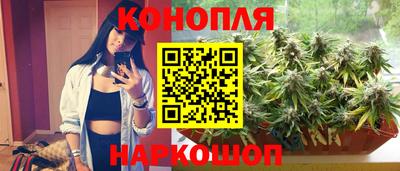 дурь Пугачёв