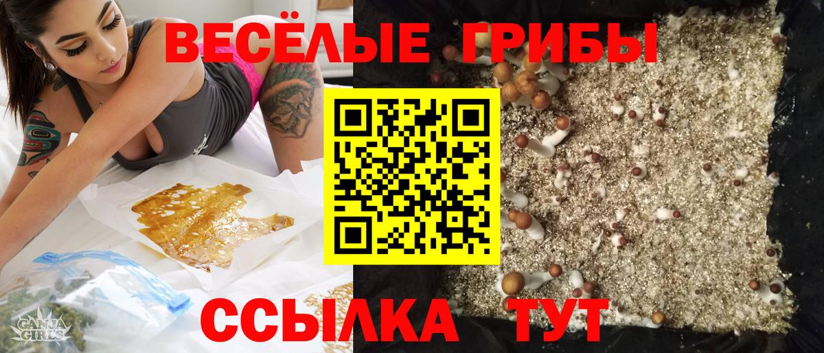 Галлюциногенные грибы прущие грибы Бутурлиновка